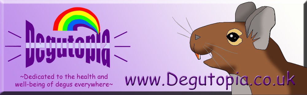 Large Degutopia Web Banner