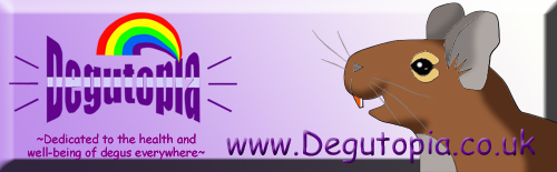Small Degutopia Web Banner