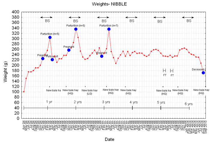 Weight graph for Nibble