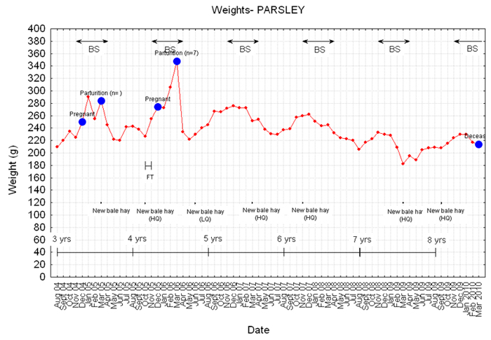 Weight graph for Parsley