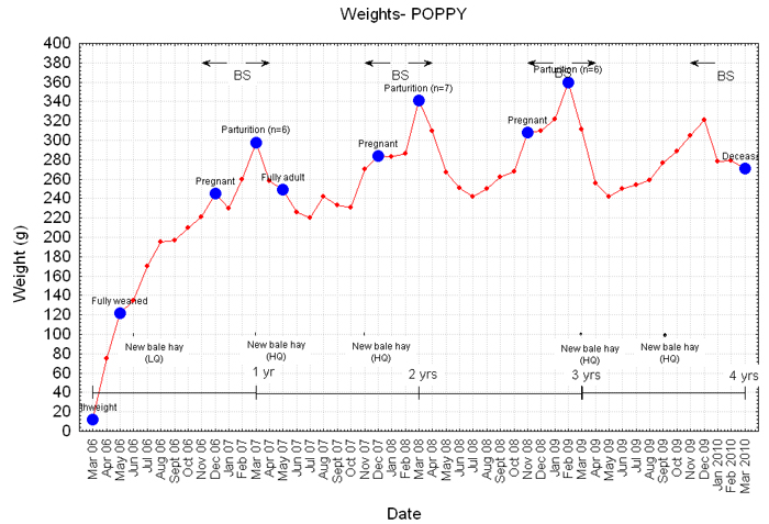 Weight graph for Poppy