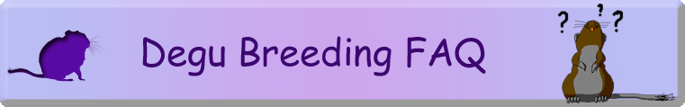 Degu Breeding FAQ