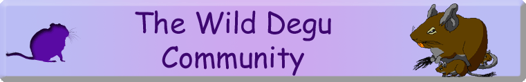 The Wild Degu Community
