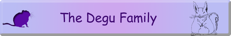 The Degu Family