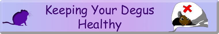 Keeping Your Degus Healthy