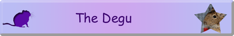 The Degu
