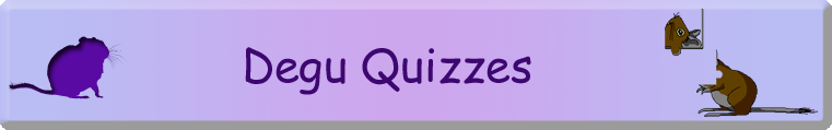 Degu Quizzes
