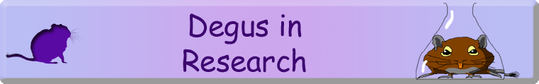 Degus in Research